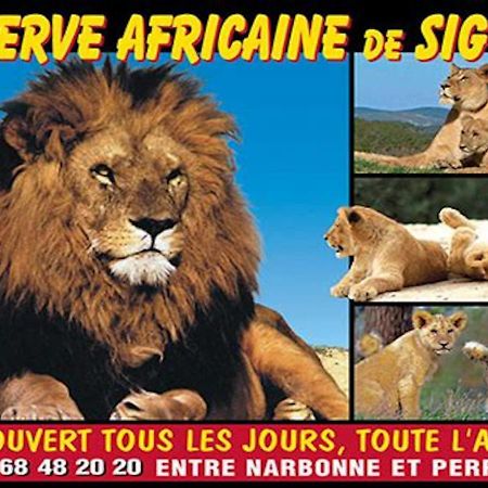 Agreable Maison De Famille Sur Gite Echarou 씨쟝 외부 사진