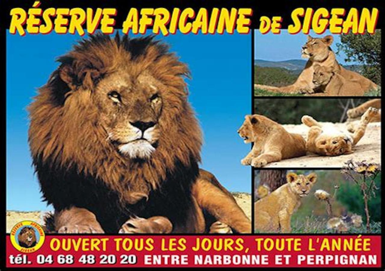 Agreable Maison De Famille Sur Gite Echarou 씨쟝 외부 사진